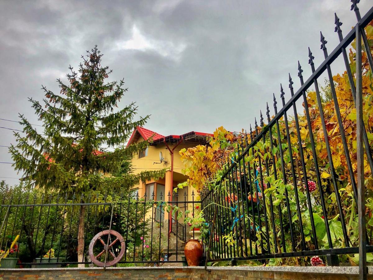 Pensiunea Portas Resort Slănic Exterior foto